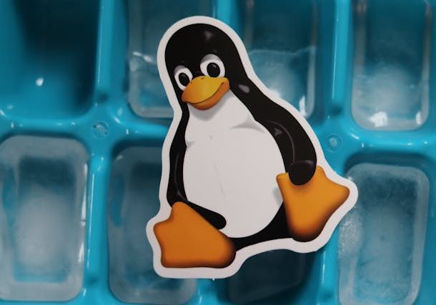Kali Linux - your cybersecurity arsenal