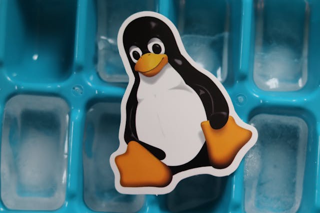 Kali Linux - your cybersecurity arsenal